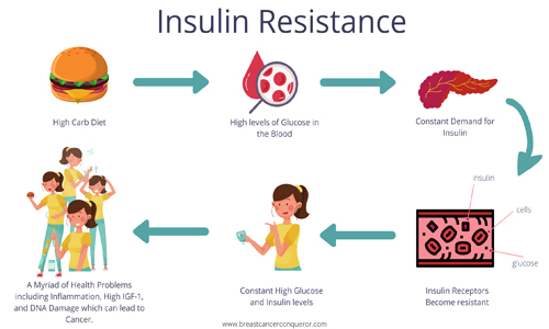 胰岛素抵抗与肠道菌群失调的差异！(图1)