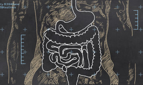 胃肠菌群紊乱是什么症状？(图1)